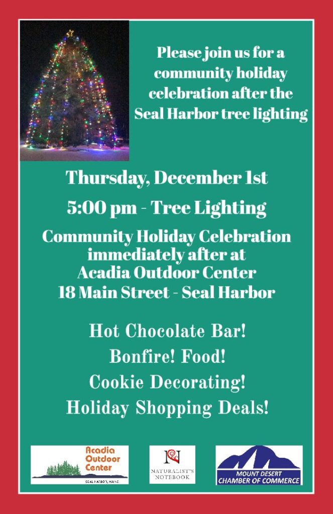 Seal Harbor Tree Lighting